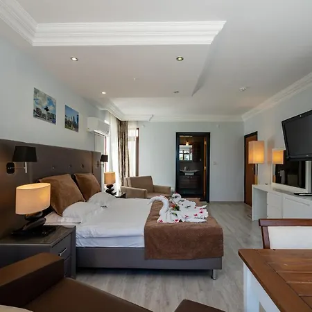 Sare Hotel 3*
